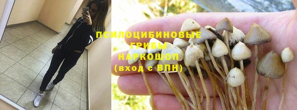 индика Михайлов