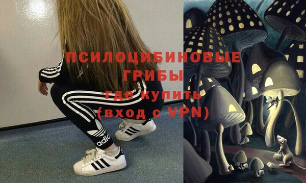 индика Михайлов