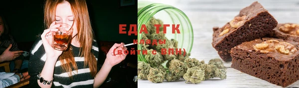 индика Михайлов