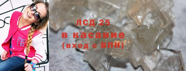 индика Михайлов