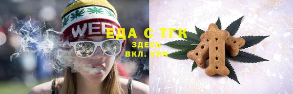 индика Михайлов