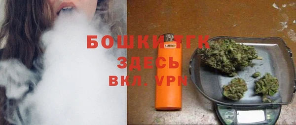 индика Михайлов
