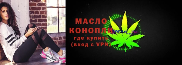 индика Михайлов