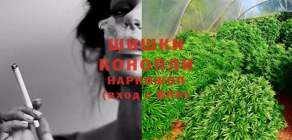 индика Михайлов