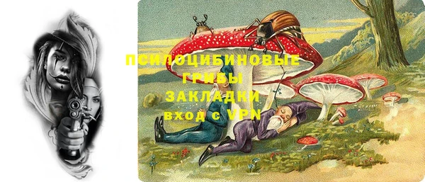 индика Михайлов