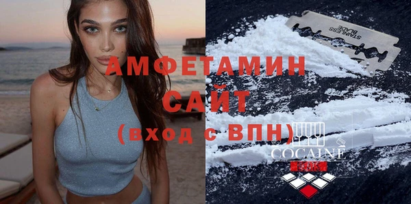 индика Михайлов