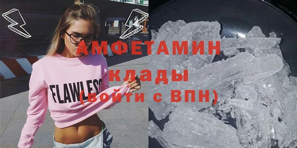индика Михайлов