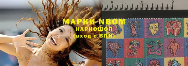 индика Михайлов