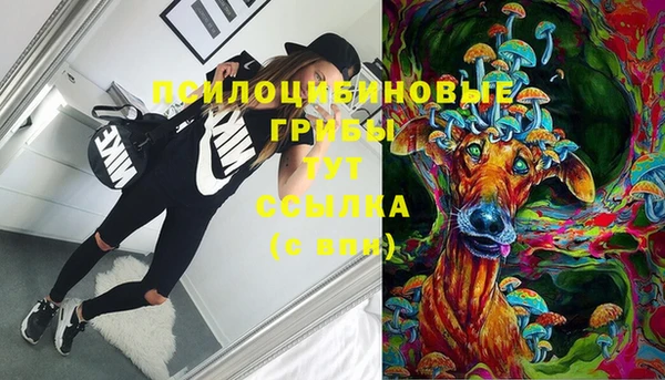 твердый Михайловка