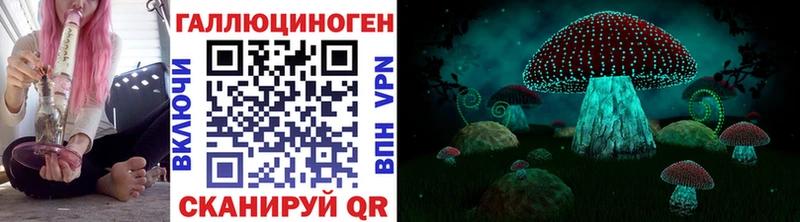 цена наркотик  Новочебоксарск  Псилоцибиновые грибы Cubensis 