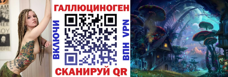 Галлюциногенные грибы Psilocybe Новочебоксарск