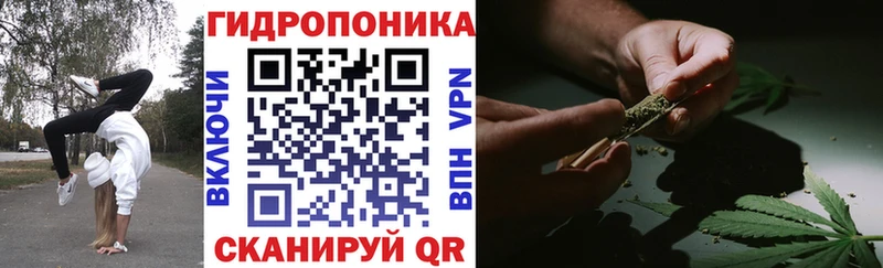 Каннабис сатива  закладки  Новочебоксарск 